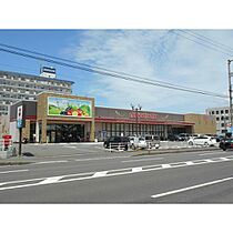 レオパレスKaratachi 211 ｜ 香川県高松市新北町（賃貸アパート1K・2階・22.70㎡） その19