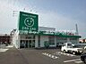 周辺：ザグザグ丸亀新田店まで550m