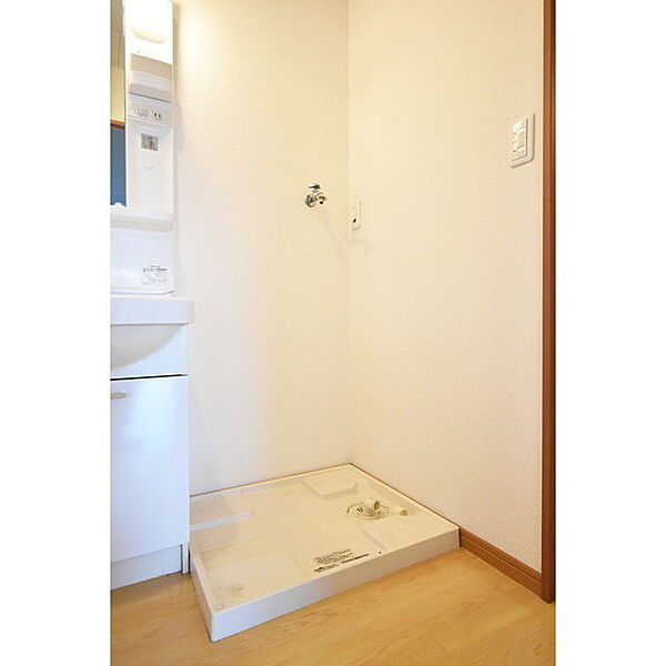 画像17:スペースが確保できる洗面所です
