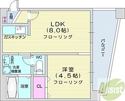 シティテラス南5条 1LDKの間取図画像