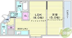 メープル円山 1LDKの間取図画像