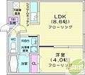 オルキデア西線9条4階5.0万円