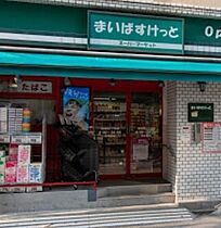 メインステージ西蒲田 801 ｜ 東京都大田区西蒲田７丁目55-5（賃貸マンション1K・8階・22.18㎡） その17