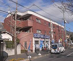 まちゃまちゃ 301
