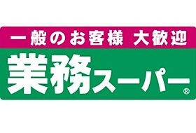 大阪府大阪市生野区鶴橋２丁目（賃貸マンション1K・5階・25.20㎡） その17