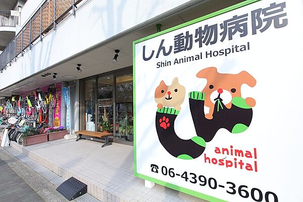 画像30:【動物病院】しん動物病院まで268ｍ
