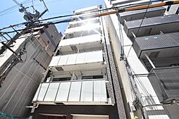 クリプトメリア日本橋