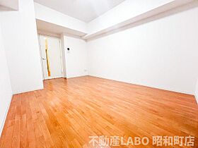 トラスト王子町  ｜ 大阪府大阪市阿倍野区王子町3丁目（賃貸マンション1R・8階・27.20㎡） その5