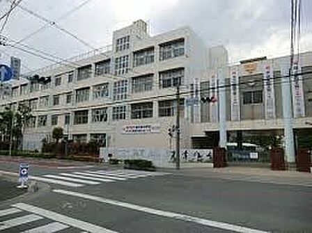 中学校 891m 川口市立青木中学校