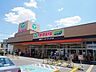 周辺：スーパー 500m TAIRAYA浦和栄和店