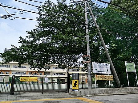 小学校 280m 上落合小学校