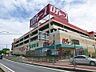 周辺：スーパー 350m ロヂャース浦和店
