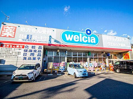 ドラッグストア 650m ウェルシア　川口北原台店()