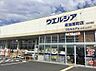 周辺：ドラッグストア 350m ウエルシア草加原町店