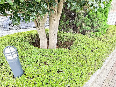 【中庭】隣の住人の顔も知らない都会マンション生活に貴重なコミュニケーションの場