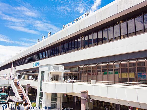 周辺を拡大表示