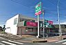 周辺：ドラッグストア 260m ドラッグセイムス戸田笹目店