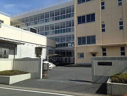 小学校 995m 戸田市立美女木小学校