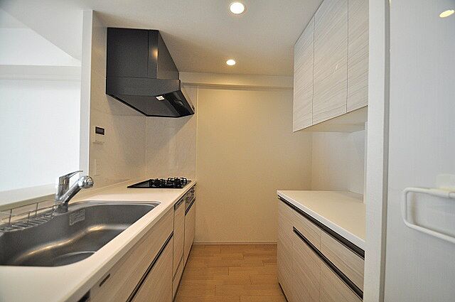 キッチン シティテラス越谷レイクタウン 3階/-