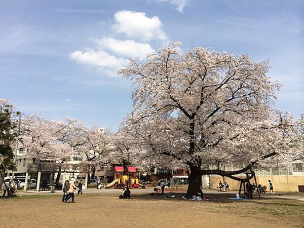 永沼荘 202｜東京都北区滝野川7丁目(賃貸アパート1K・2階・25.00㎡)の写真 その17