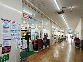 ジョイフル上中里 402 ｜ 東京都北区栄町（賃貸マンション1K・4階・17.55㎡） その24