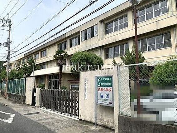 羽曳野市立白鳥...