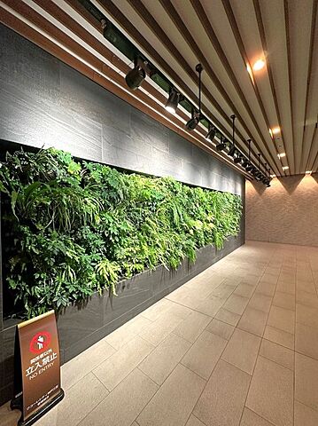 エントランス ワコーレシティ神戸三宮 17階/-