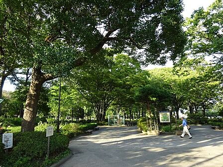 わかぐさ公園敷地面積が大きく、野球場、プール（夏季限定）、アスレチック、ウォーキング等小さいお子様からご年配の方まで幅広く楽しめます。駐車場約100台以上停車可能 600m