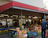 スーパー「ママチェーンカネホリ本店まで295ｍ」
