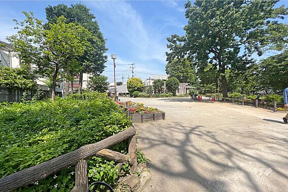 碑文谷公園の外...