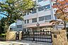 周辺：向原小学校[公立]
