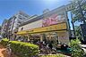 周辺：肉のハナマサ PLUS(都立大店)の外観