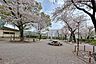 周辺：東調布公園の外観