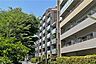 外観：オーベル三軒茶屋dRの外観（東側から）