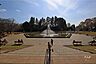 周辺：世田谷公園の外観
