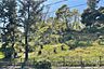 周辺：梶が谷第二公園の外観