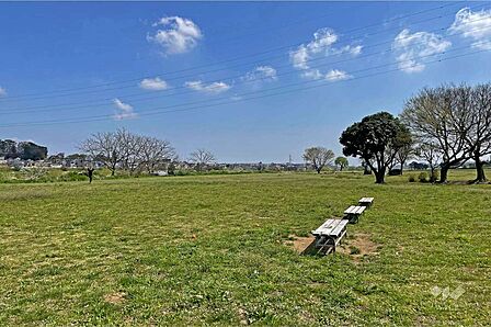多摩川緑地(下野毛地区、せせらぎと親子広場)の外観