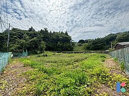 浜松市浜名区三ヶ日町大崎 売土地