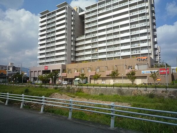 Shell Pool5 ｜兵庫県西宮市門戸東町(賃貸マンション1LDK・2階・40.87㎡)の写真 その26
