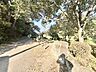 その他：2026年10月　撮影　小山田緑地