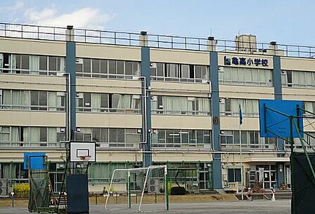 江東区立亀高小学校