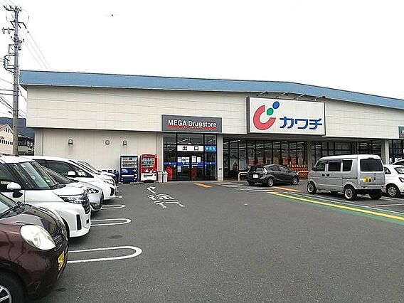 カワチ薬品飯田...