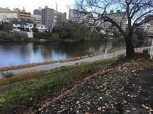 周辺 朝日プラザ五橋IV 5階/504