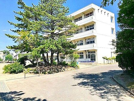 仙台市立小松島小学校 徒歩6分。 430m