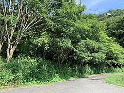 小諸市甲の土地