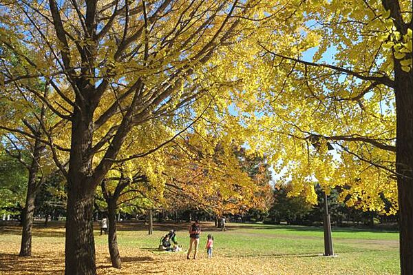 パークアクシス門前仲町・清澄庭園 204｜東京都江東区福住２丁目(賃貸マンション1K・2階・27.39㎡)の写真 その23