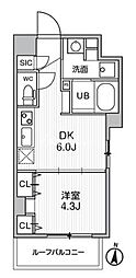 エスレジデンス亀戸バーム(S-RESIDENCE亀戸balm) 1DKの間取図画像