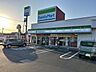 周辺：ファミリーマート　越谷弥十郎店 420m