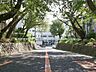 周辺：小学校 830m 藤沢市立大越小学校