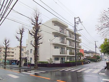 ■この道を歩けば、毎日が少し特別になる